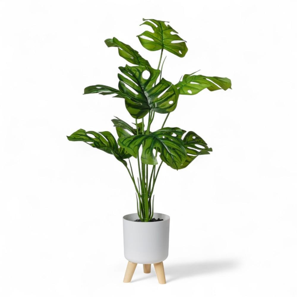 MONSTERA IN VASO H90 CON 9 FOGLIE